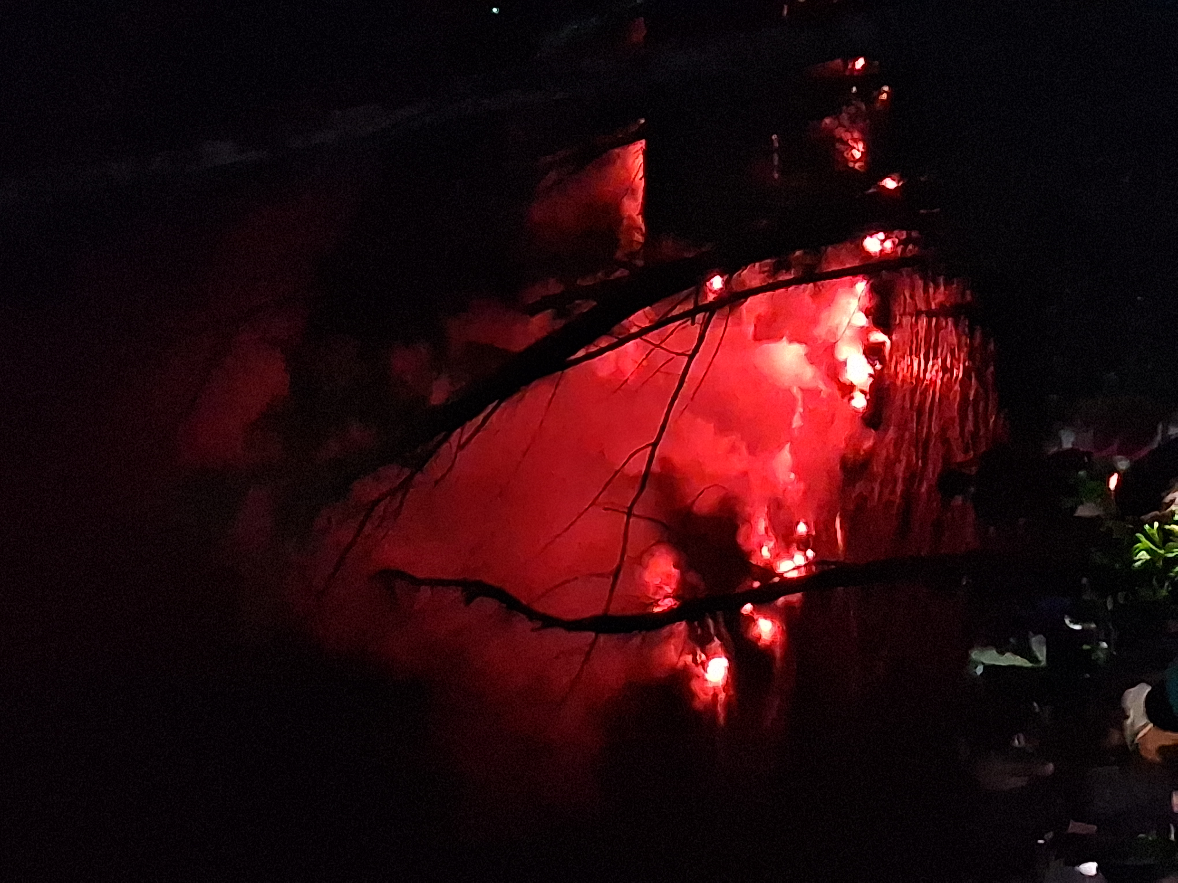 VTC Oi — Transport Premium